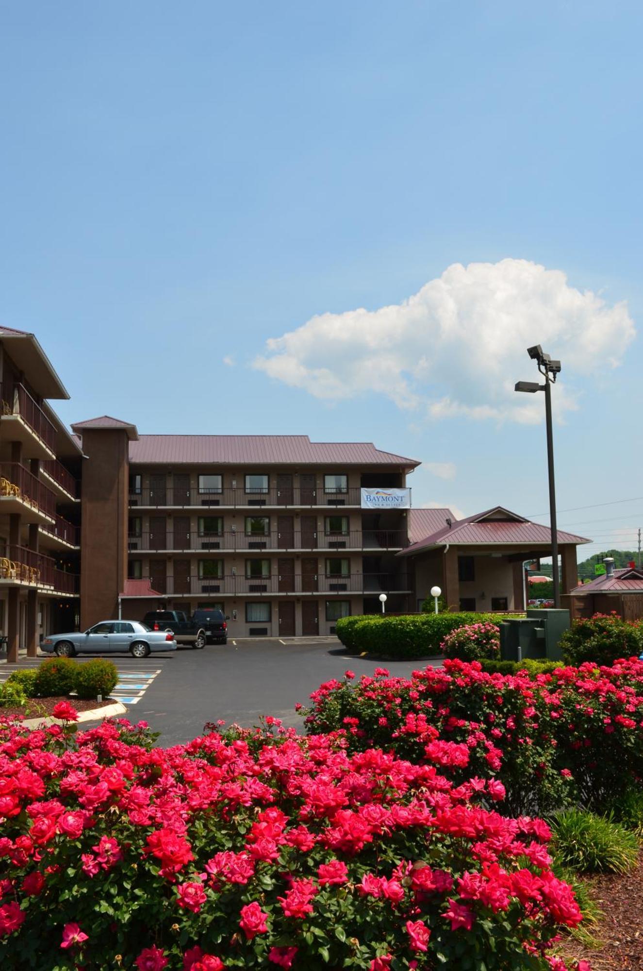 Hotel Baymont By Wyndham Pigeon Forge Near Island Drive Zewnętrze zdjęcie